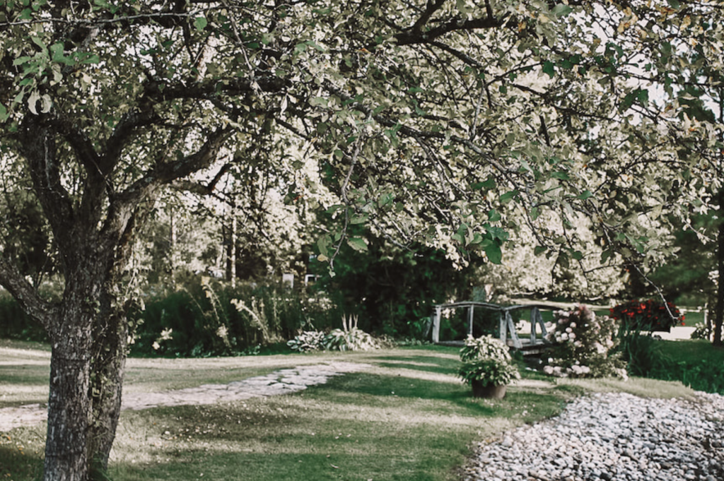 Wedding Music Wiarton: Felix and Angela at Spring Creek Gavel Farms